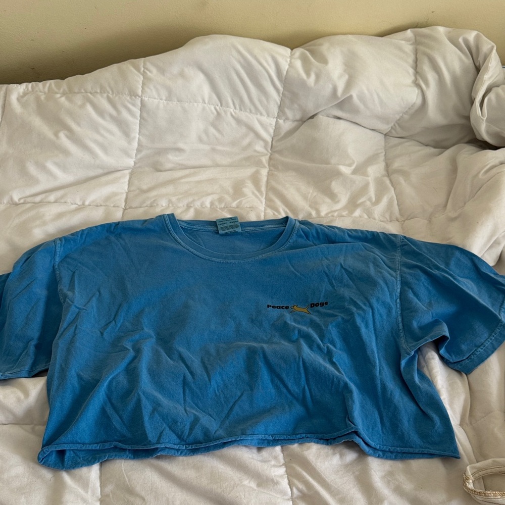 Comfort Colors Light Blue Tee